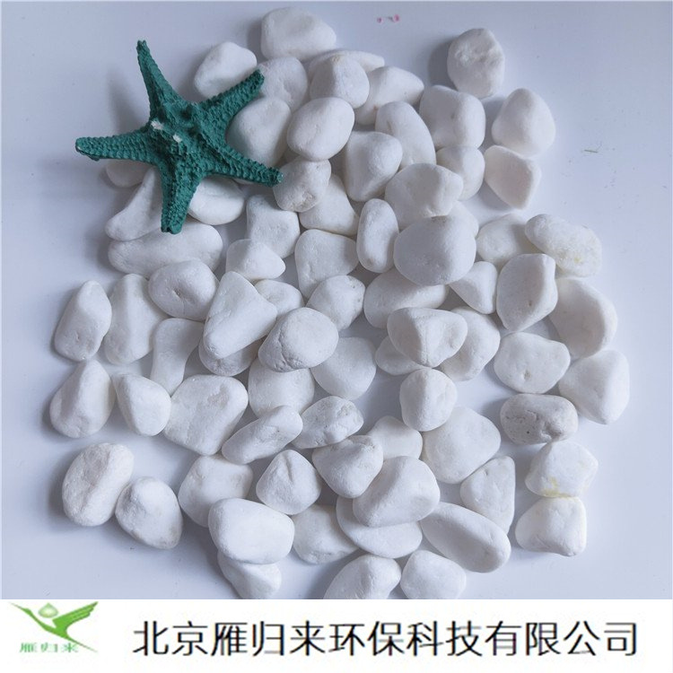 白色卵石