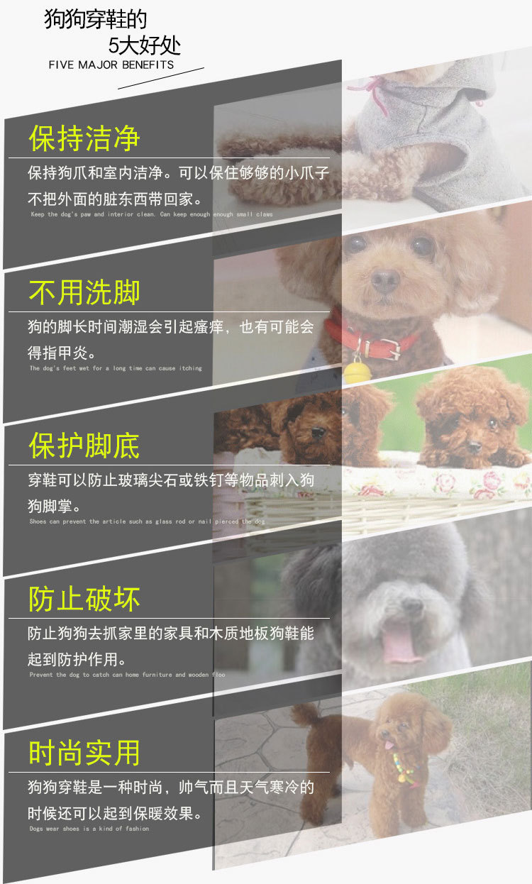 狗鞋详情_10.jpg