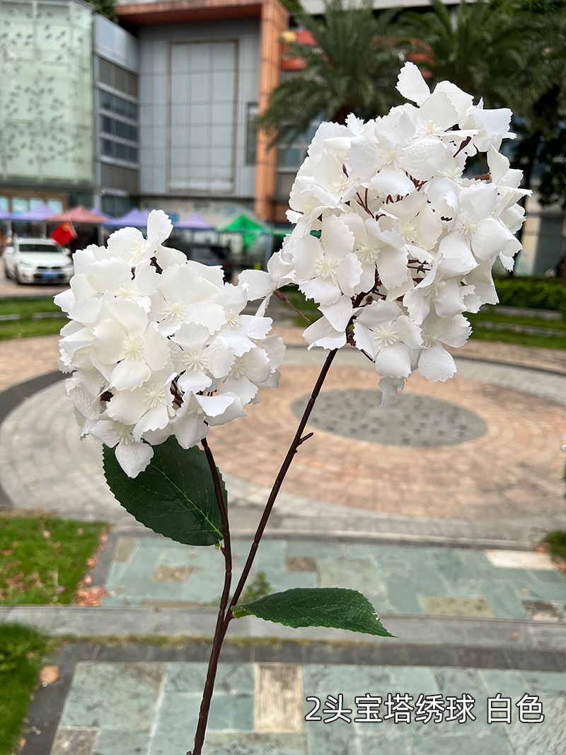 2头宝塔绣球-白色.jpg