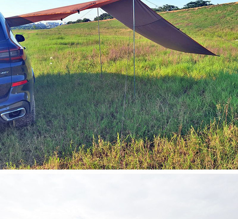 eab44b78-edf2-4d52-abcc-7c9b9d32dd79.jpe