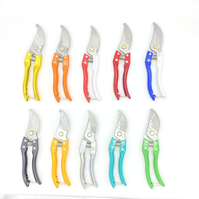 ea5d175a42e6b98dabc4c48b49971a