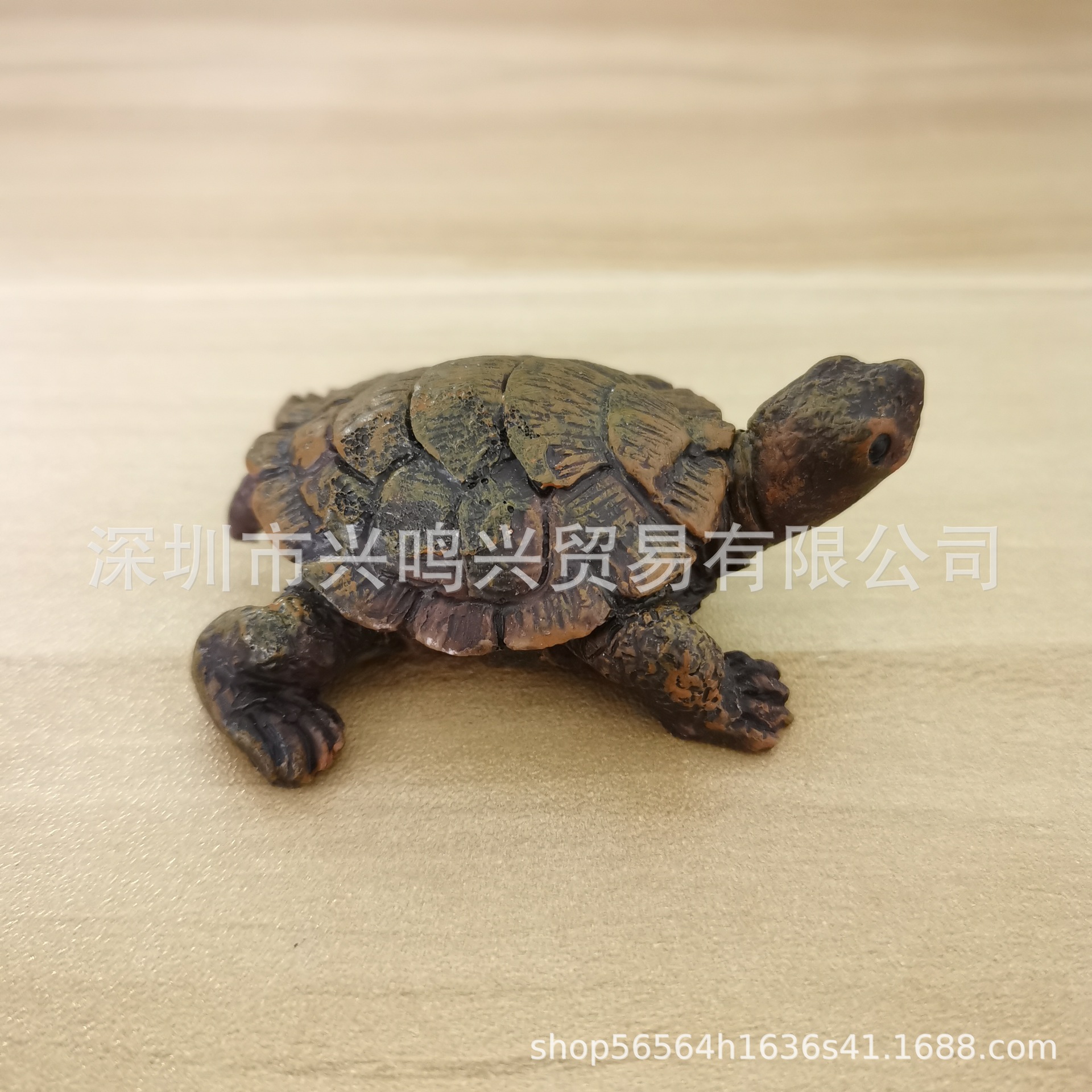 实拍1.jpg