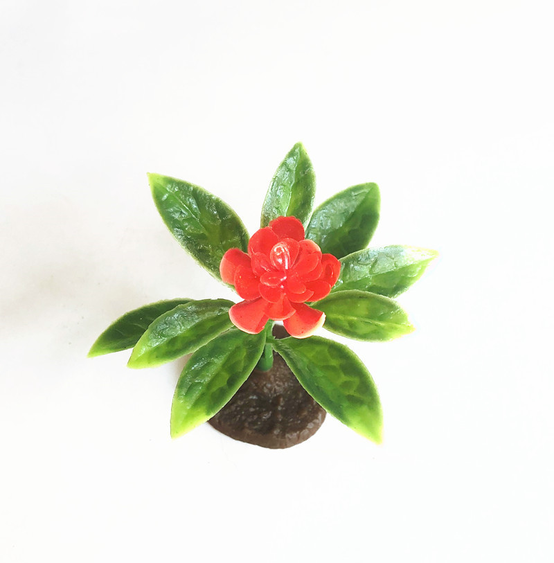 IMG_7464_副本 - 副本