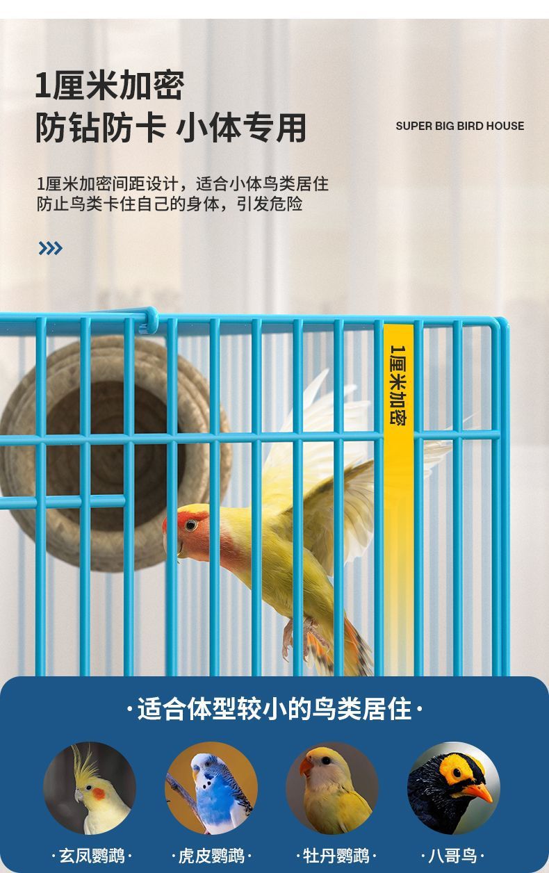 e5c6fe1b-7a42-4e21-9365-ab03a2ba3d79.jpe