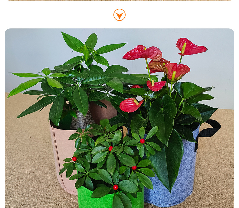 彩色种植袋2_17.jpg