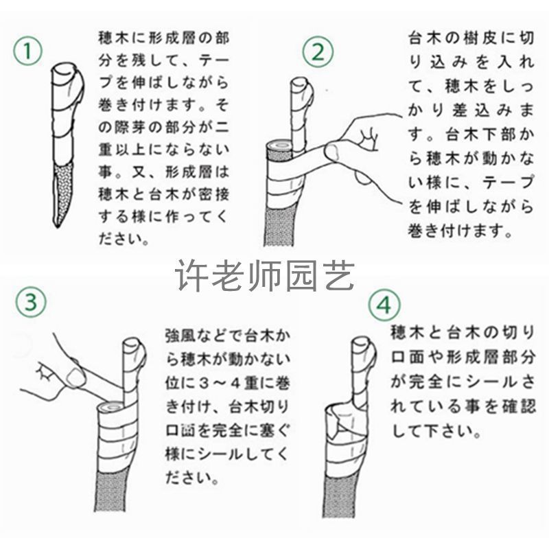 /O1CN010UierS1rtcFWqvA1c_!!2218883235689-0-cib.jpg