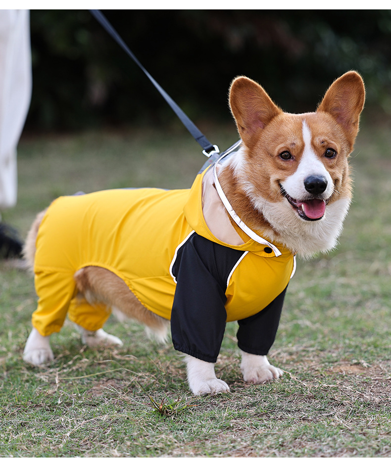 PD10052夏款-四脚防水狗雨衣_08.jpg