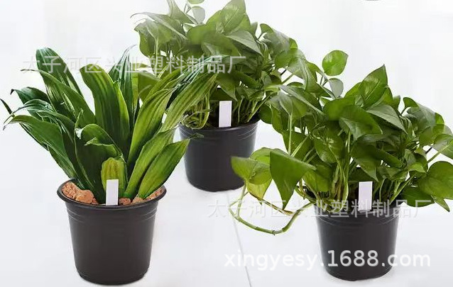 微信图片_20241206095554