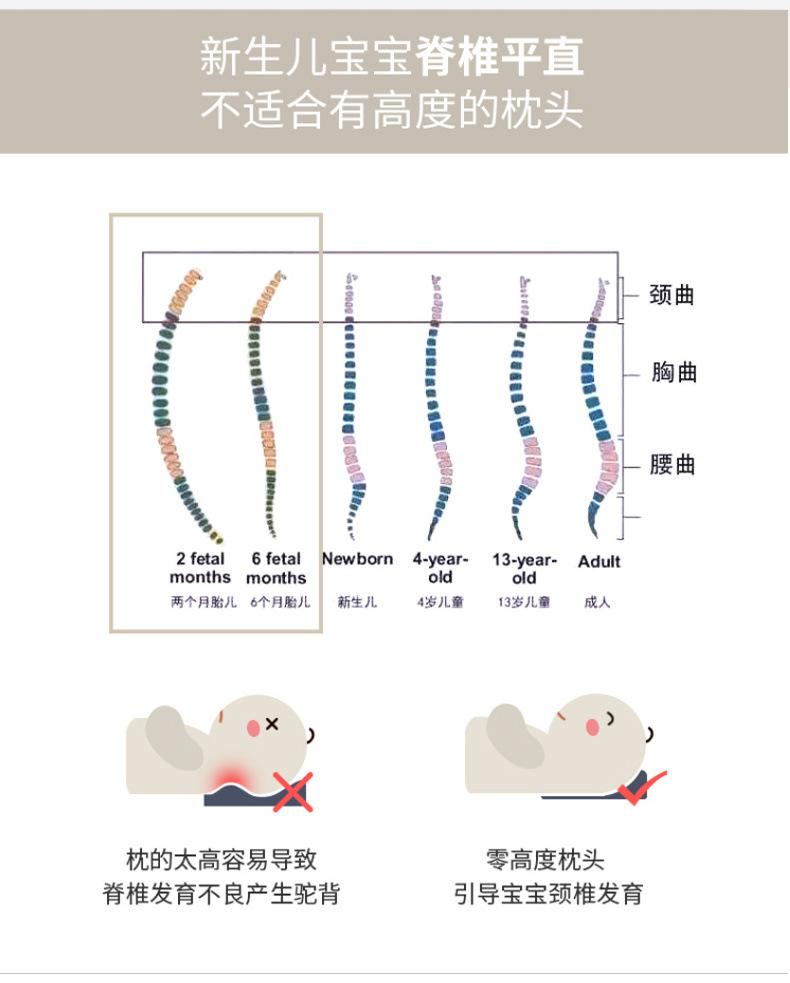 18162293-b923-4c5d-9bdf-5ca5af33cce1.jpg?x-oss-process=image/format,png