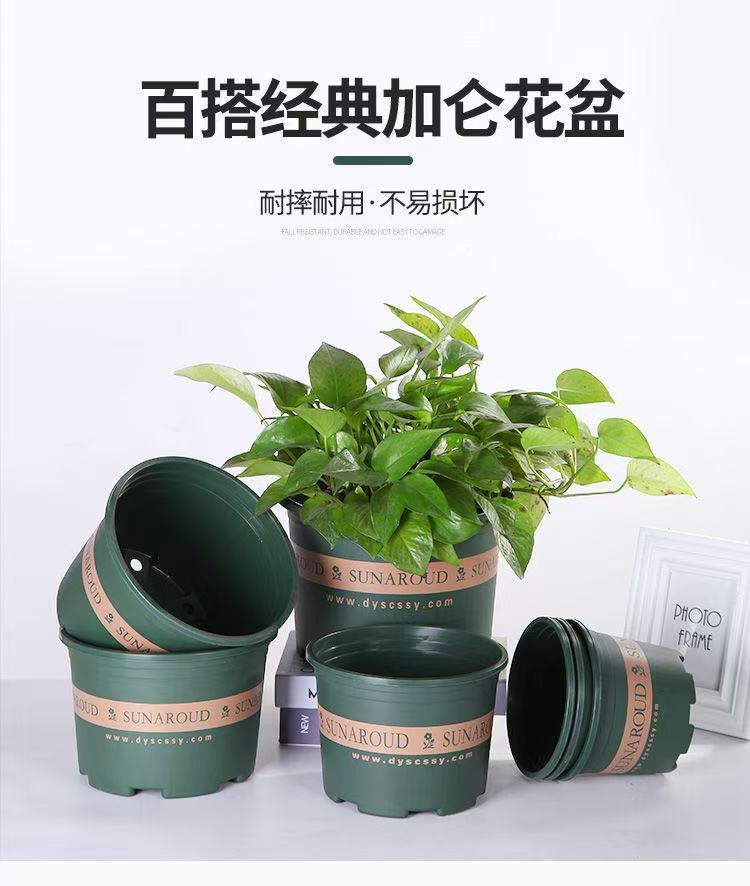 5b171ee4-dcca-4b74-a397-a2ac56de7836.jpe