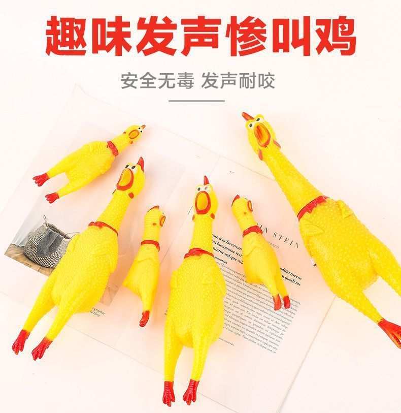 2d403e10-7f52-469f-ba54-2dd693f9c9e4.jpe