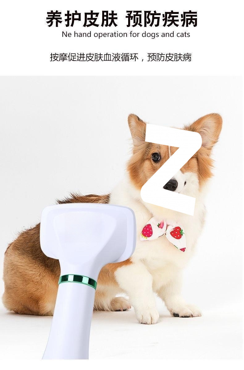 45ff24ef-40e9-4748-a441-1bbfdf98c9e3.jpe