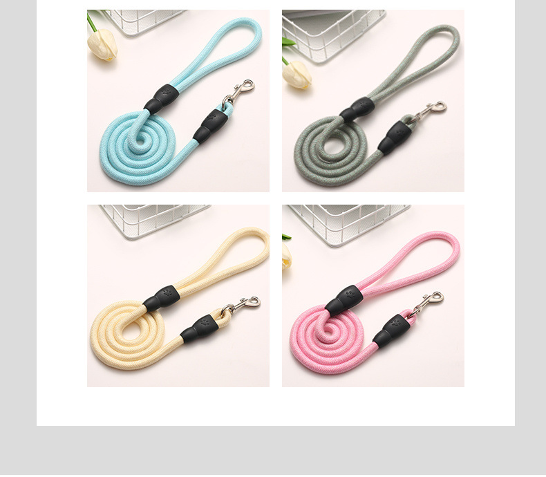 e2ec6c2a-d7a8-44a5-a291-3b12bb6484a9.jpe