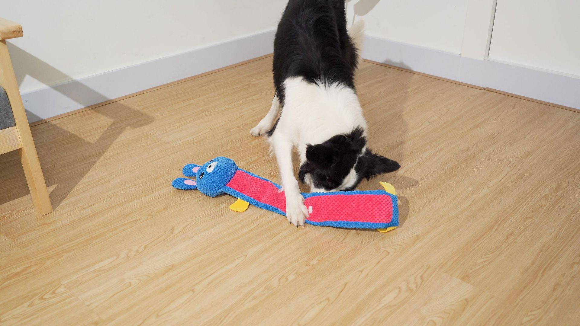 觅食兔子 (13).jpg