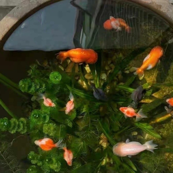 c5024ad9-4c56-4381-9280-8a597dd59700.jpe