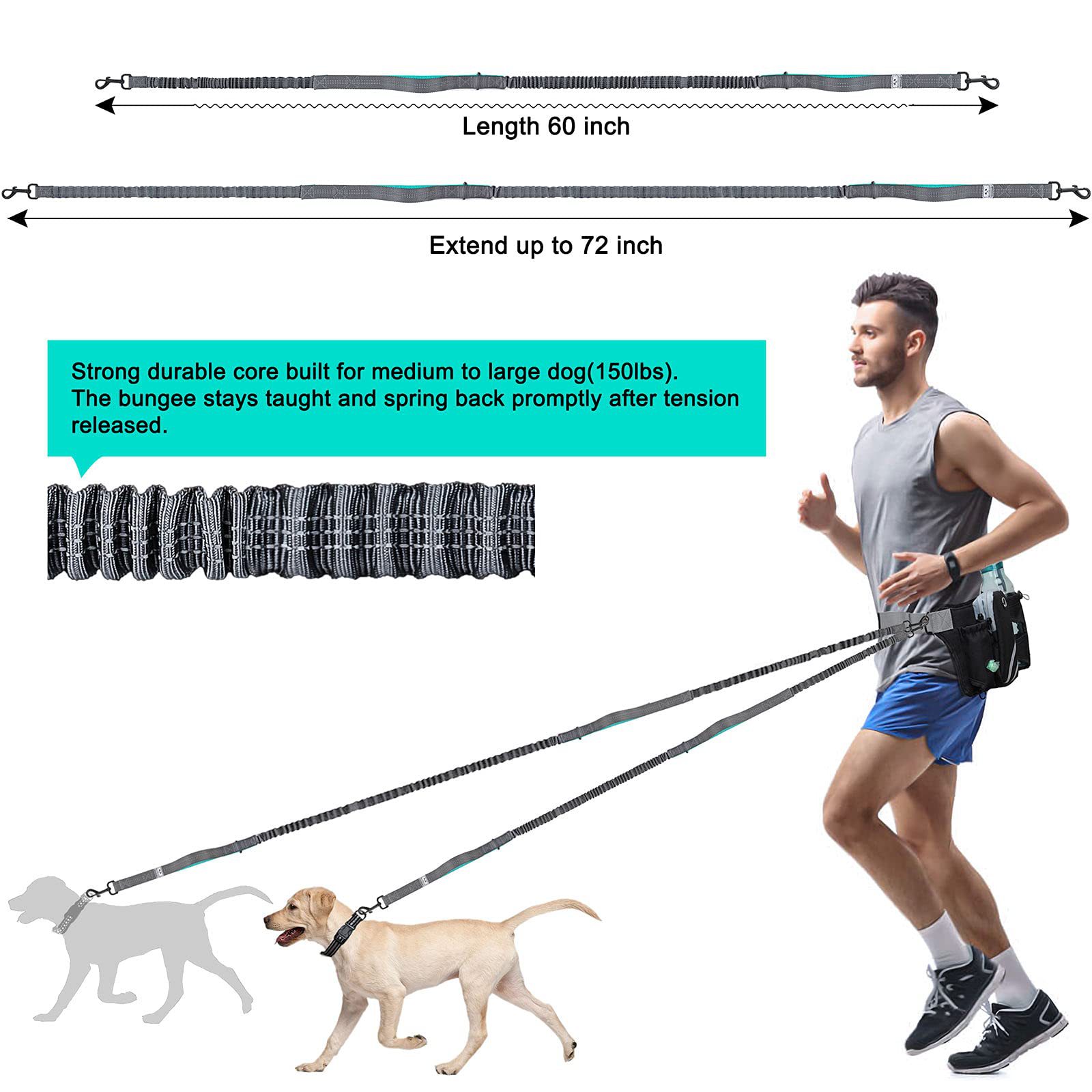 Black for 2 Dogs-04.jpg