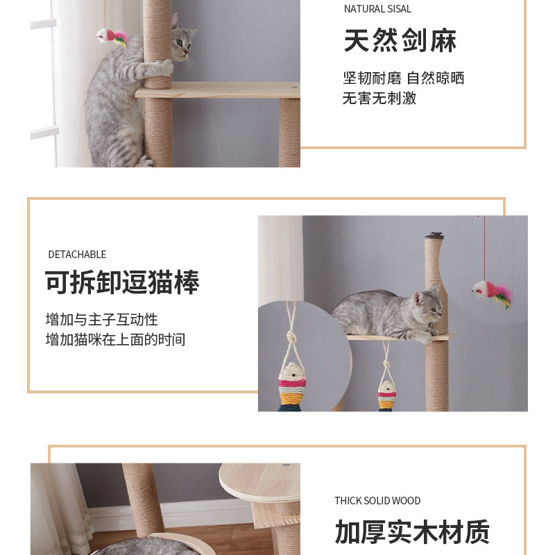 156218ba-9d56-4d99-8398-517d5d1b04b0.jpe