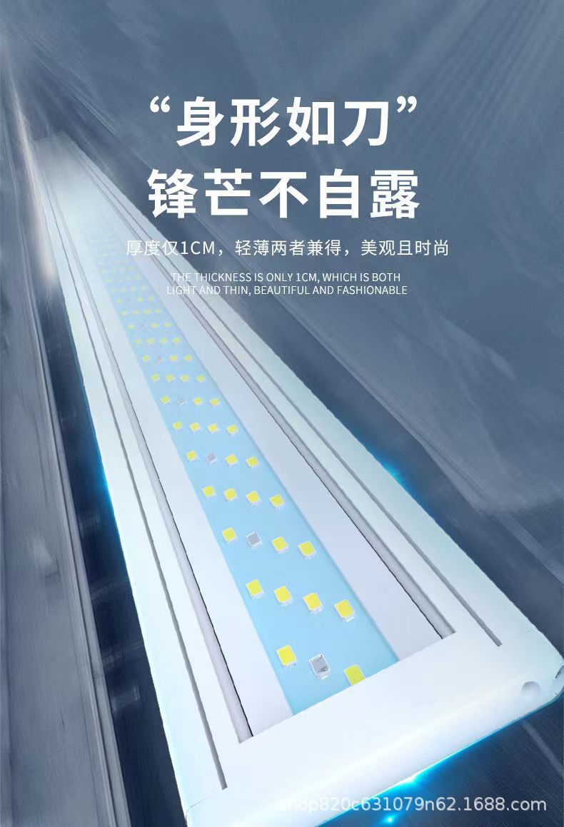 13.jpg?x-oss-process=image/format,png