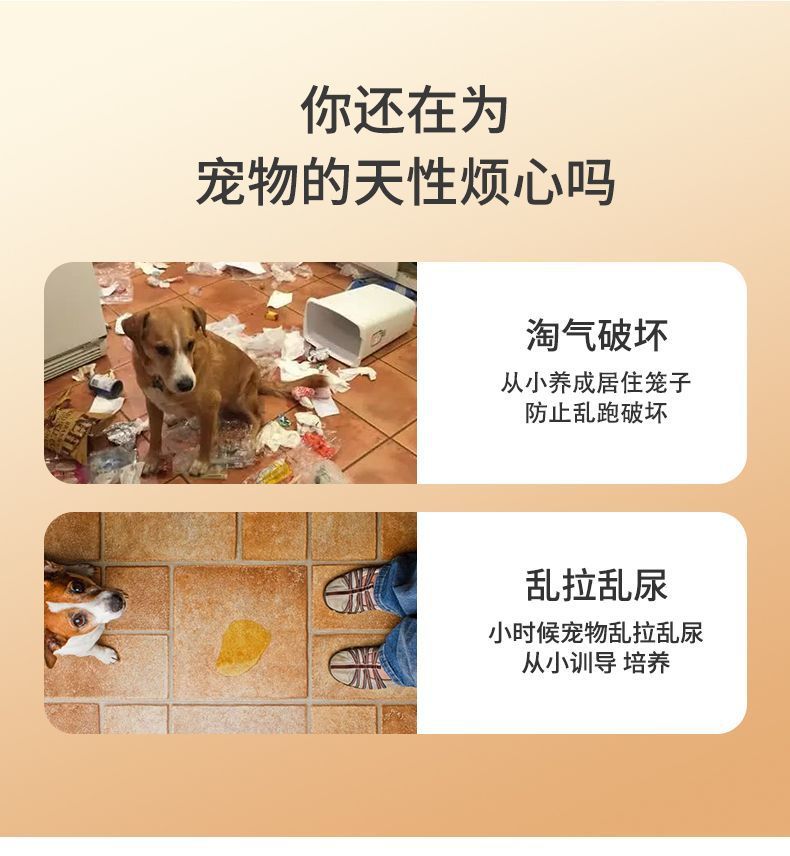 49939a03-b6f0-400f-8532-d1cd77474831.jpe