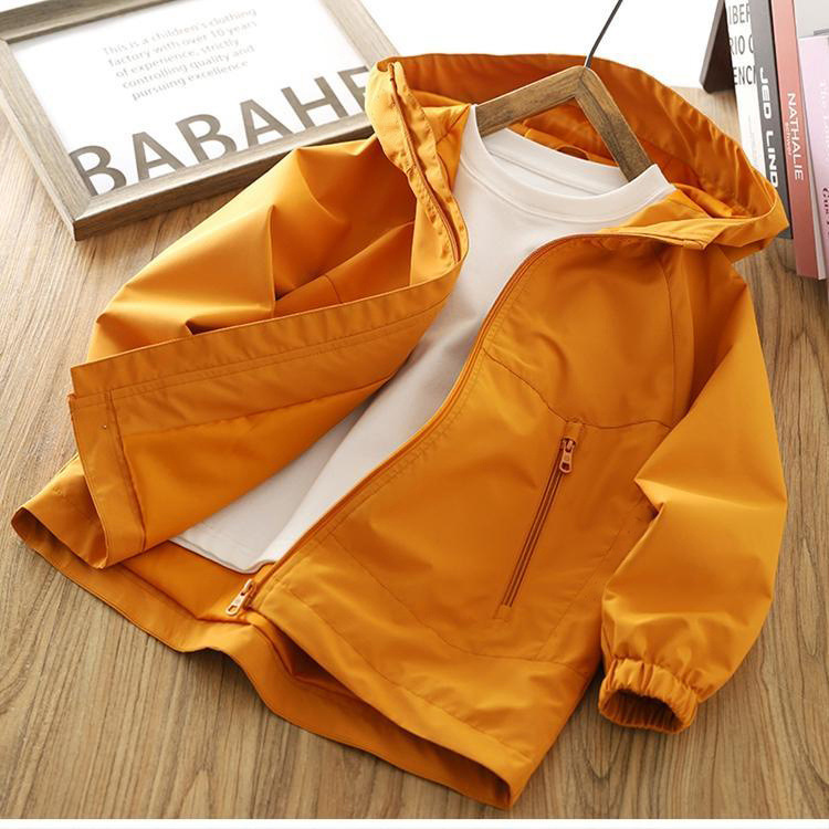 3000025b-6dc9-4f8a-8ce6-a2ed0f4222e9.jpe