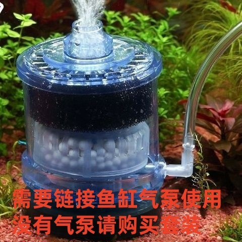 2e33ccf0-946a-439b-953c-309f2958d07b.jpe