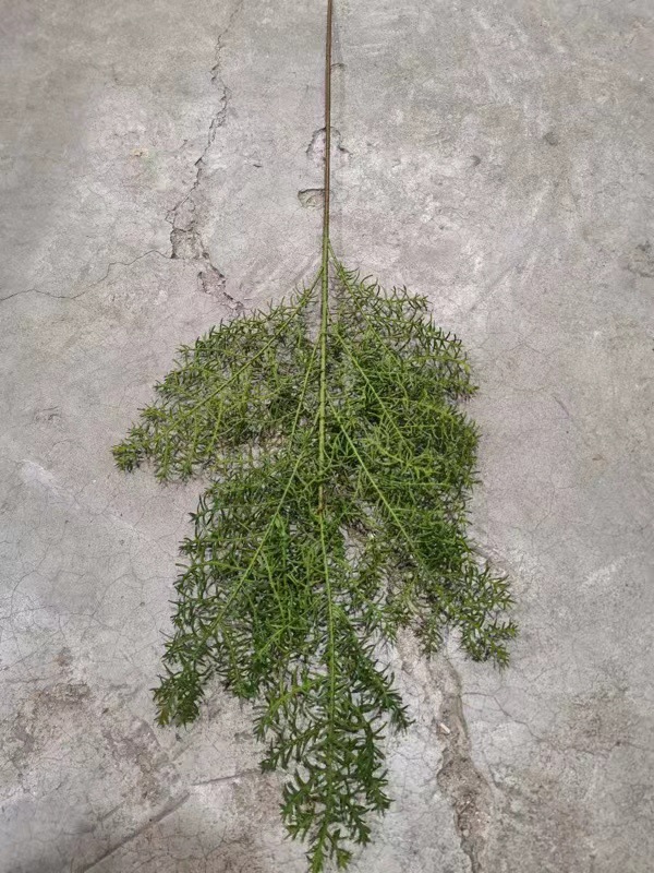 微信图片_20240705180304