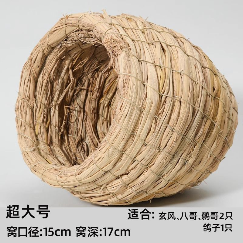 0a5fa536-0b15-4d13-8f1f-5eb29ba2e79b.jpe