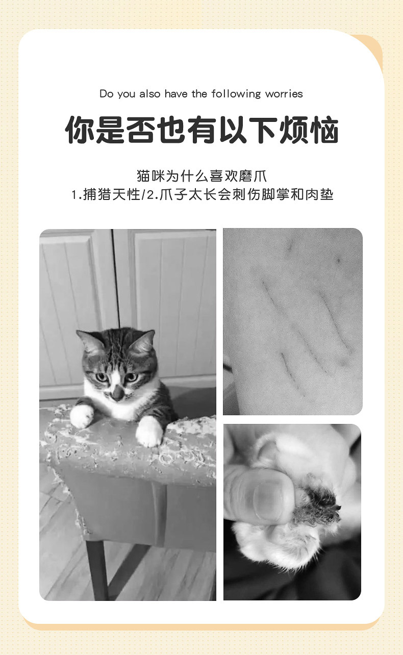 详情图片_02.jpg