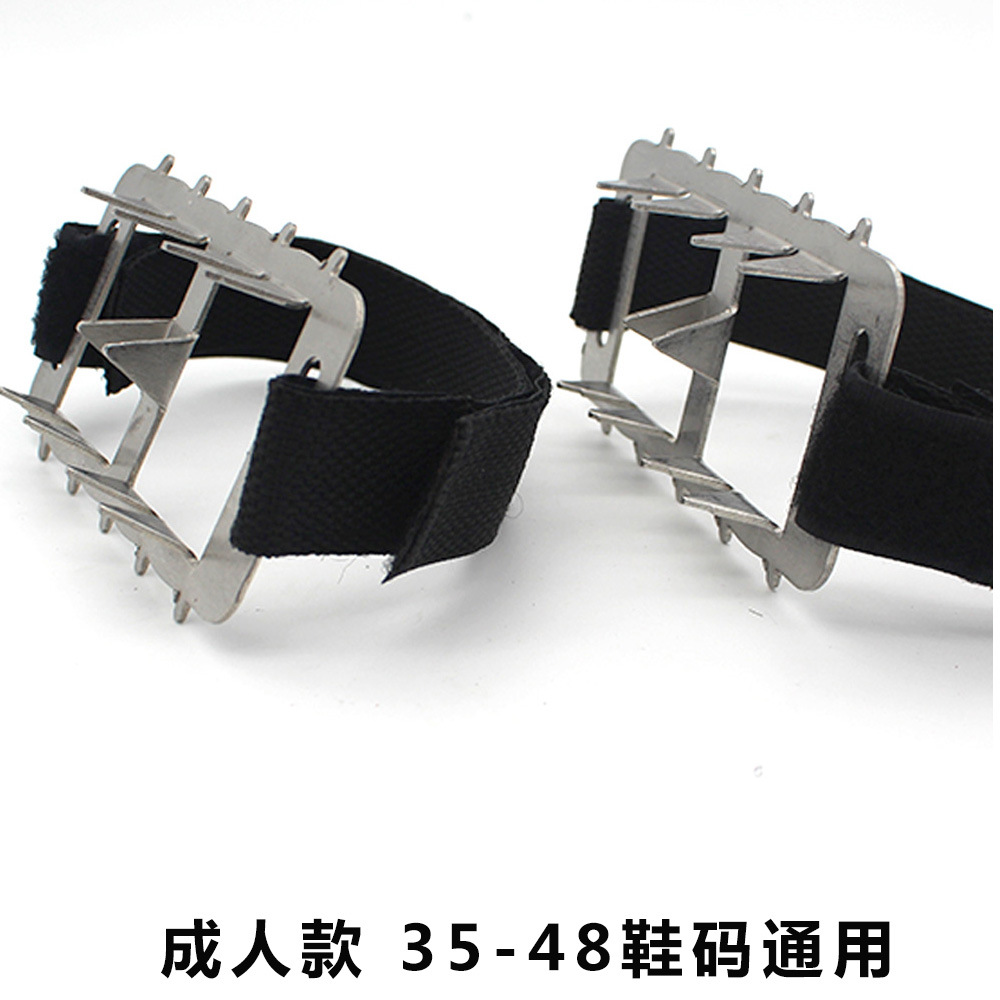 前脚掌八齿6
