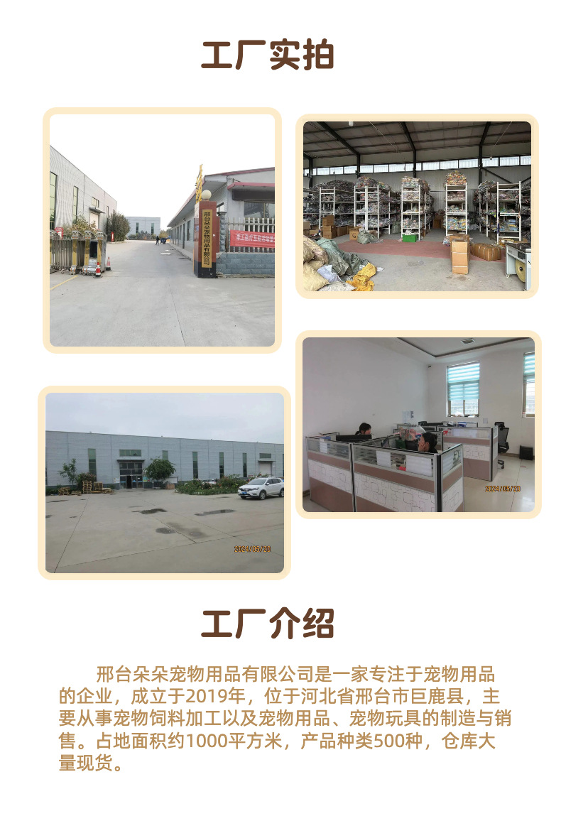 02简约可爱风黄色鲜花萌宠类宠物玩偶商品详情页