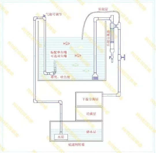 b619299d-ac3a-449c-bfb2-2b8fe250ba79.jpe