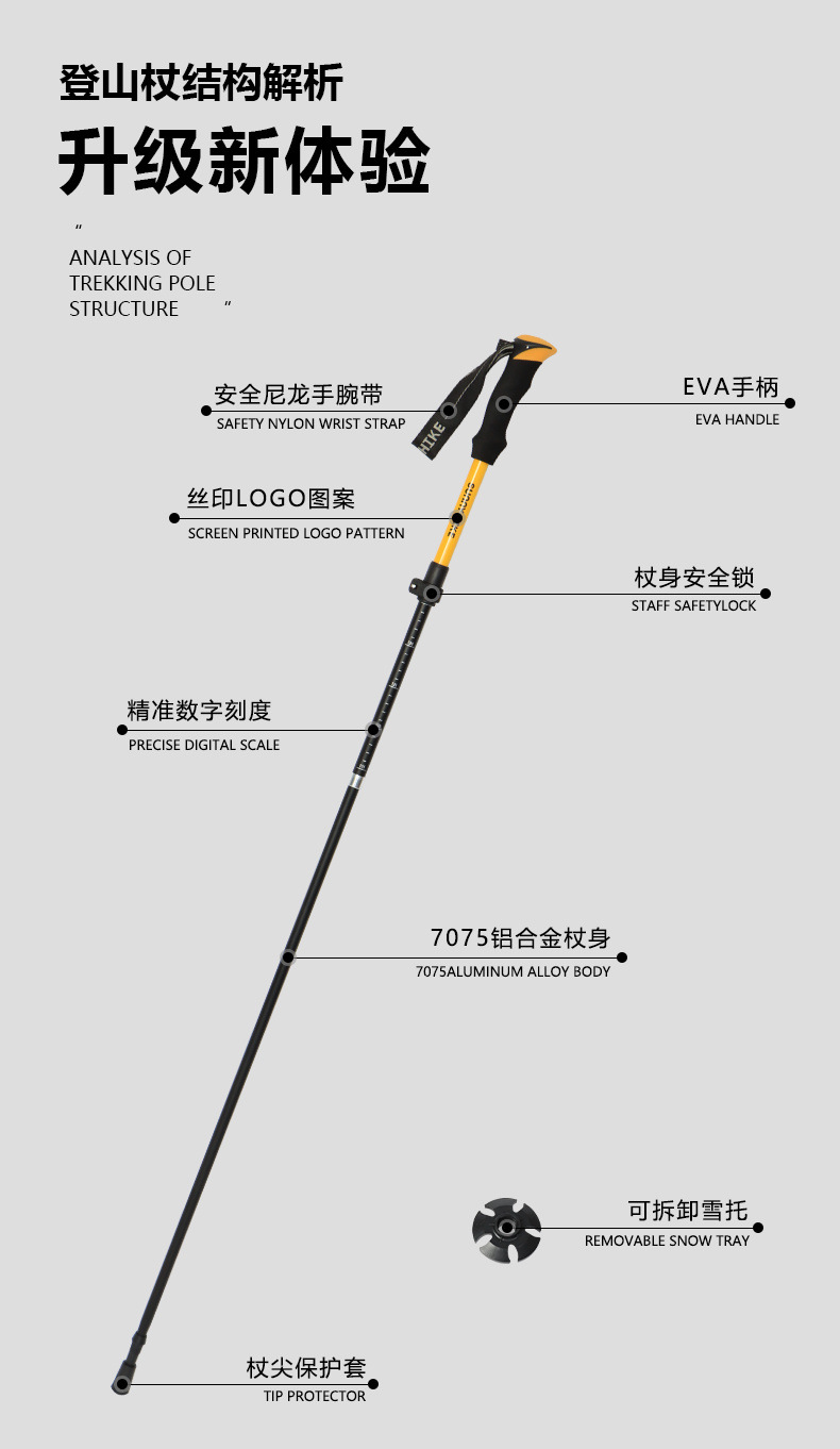 6549a632-86e0-4ffd-9fdd-5cd53e319216.jpe