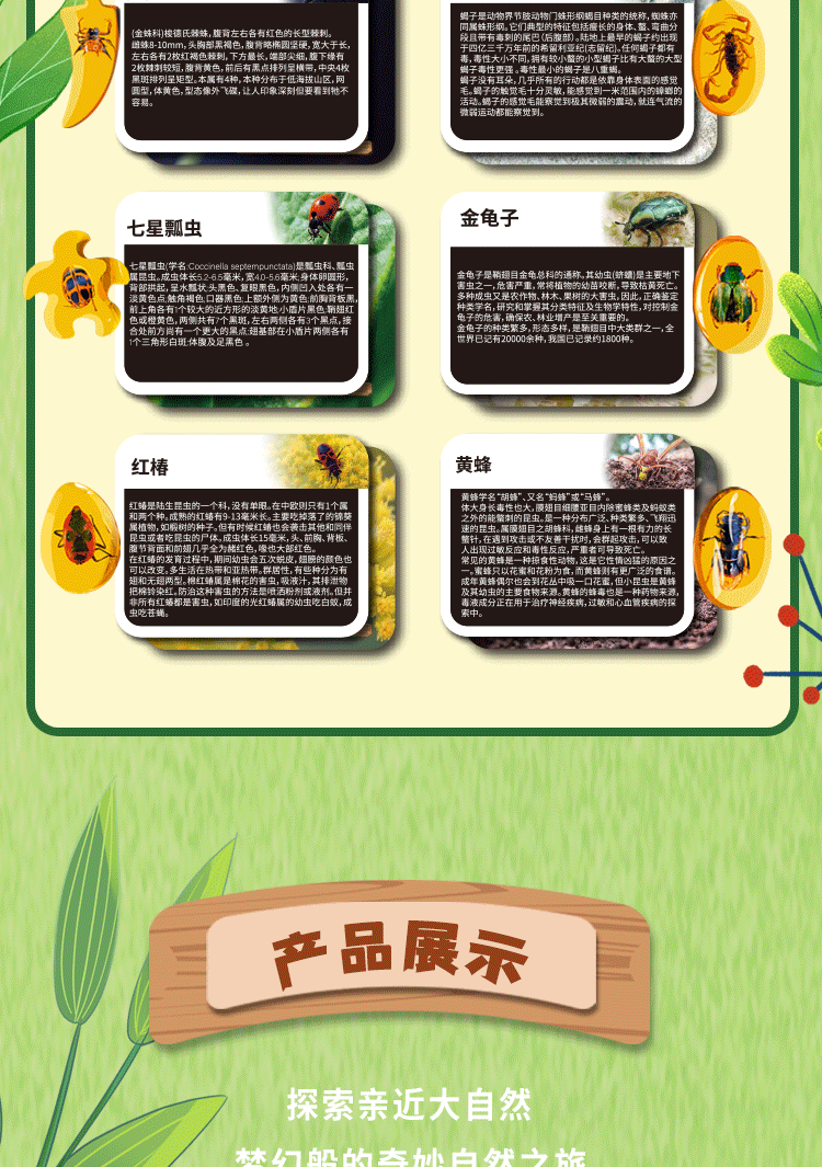 琥珀昆虫详情页_03.gif
