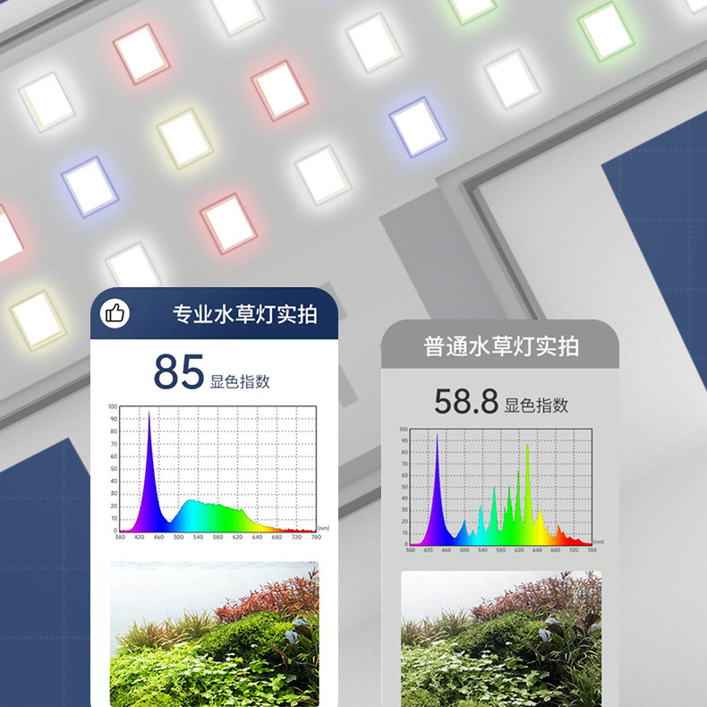 81f4a6bd-427d-46d1-89c3-1f2486e54acf.jpe