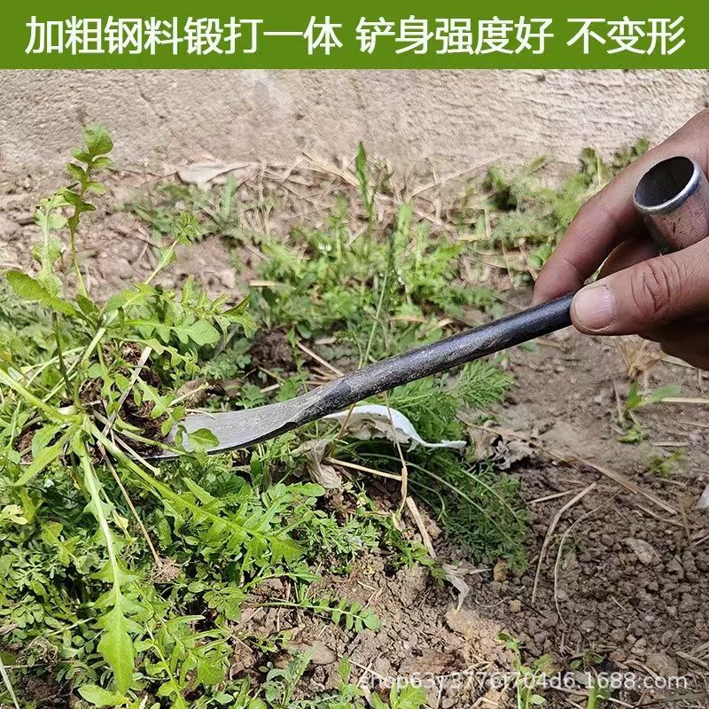 微信图片_20250409104526.jpg