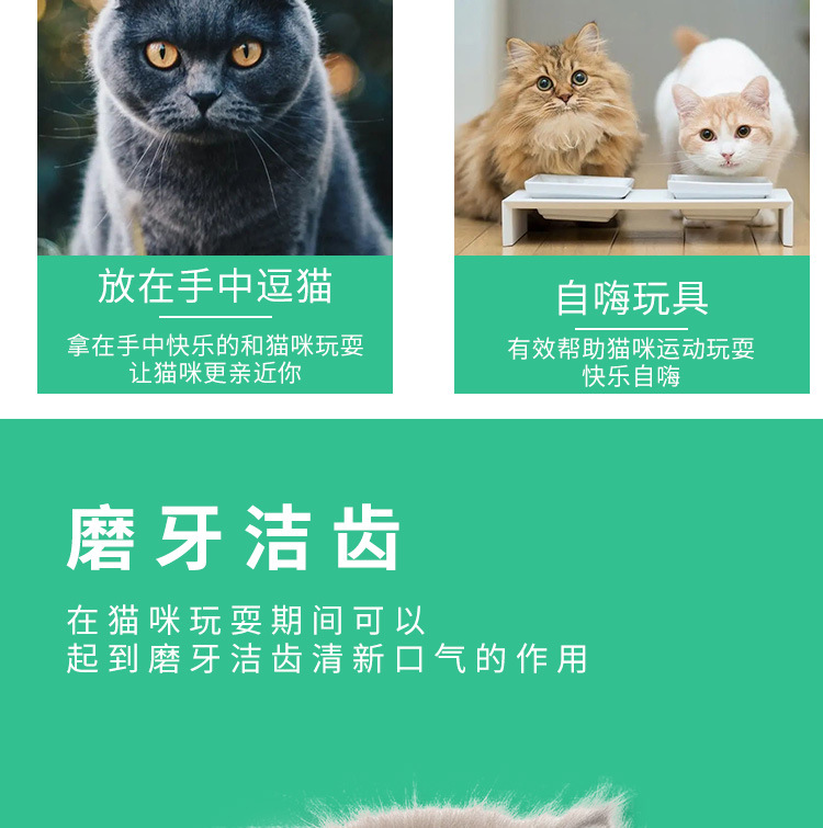 木天蓼逗猫棒2_05