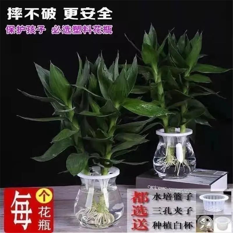 2210e47d-4088-441c-8050-44bcdeb42a44.jpe