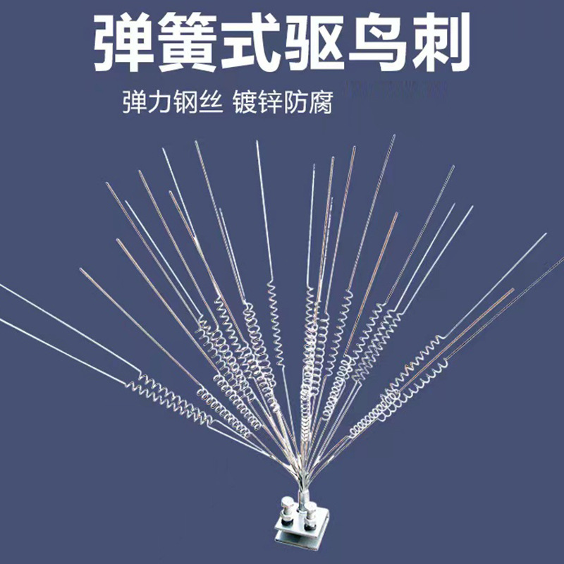 2详情.jpg