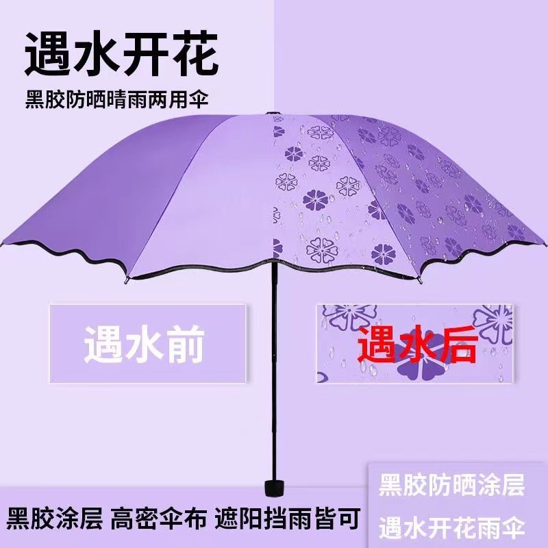 微信图片_20250306233915