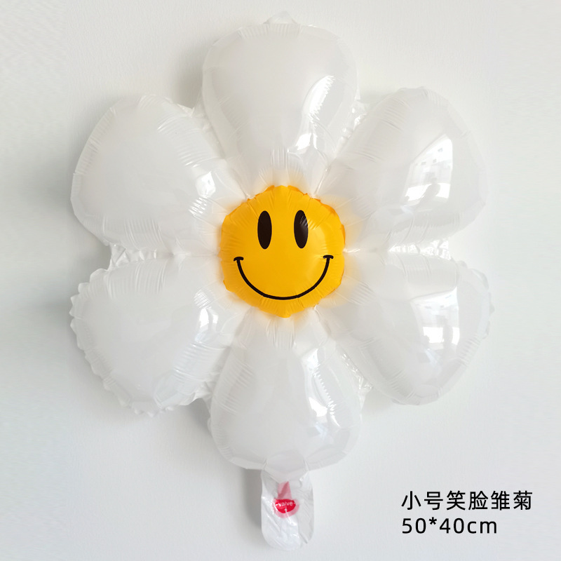 雏菊1