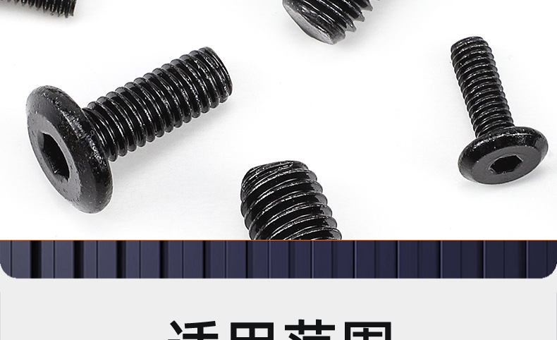 304不锈钢镀黑锌倒边内六角螺丝_03_20.jpg