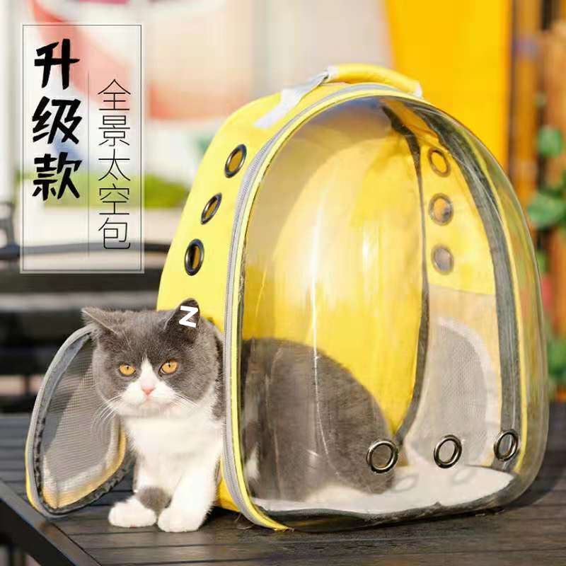 36bf6164-35d6-495e-af5f-0f7715e73ad9.jpe