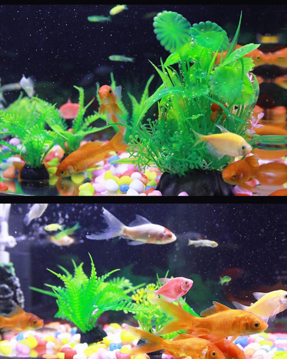 5ebf0757-b15c-404c-b1ea-b8ae81f36975.jpe