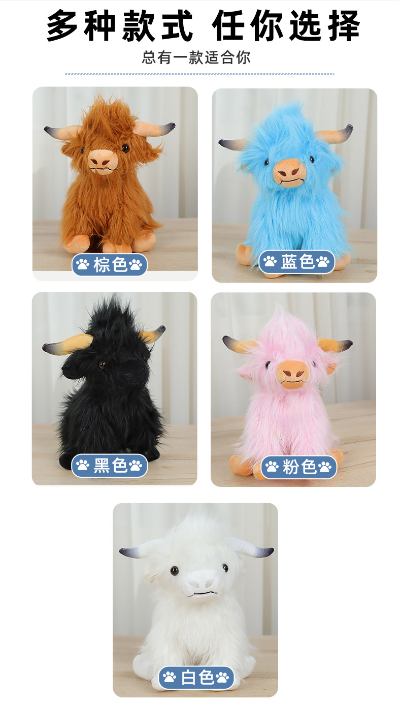 苏格兰高地牛_03