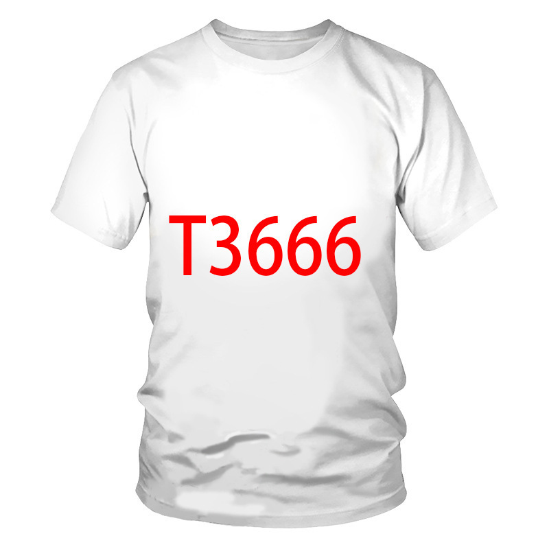 T3666