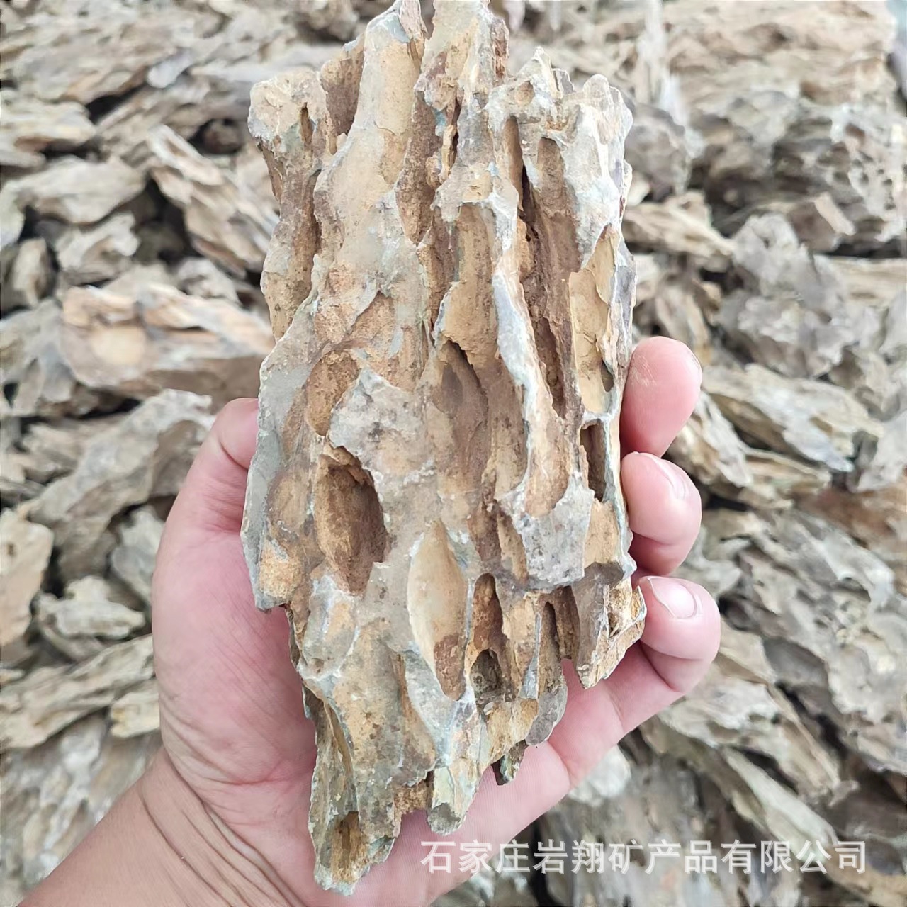 b1115e7de77c00e0eae0998b0eb1f7