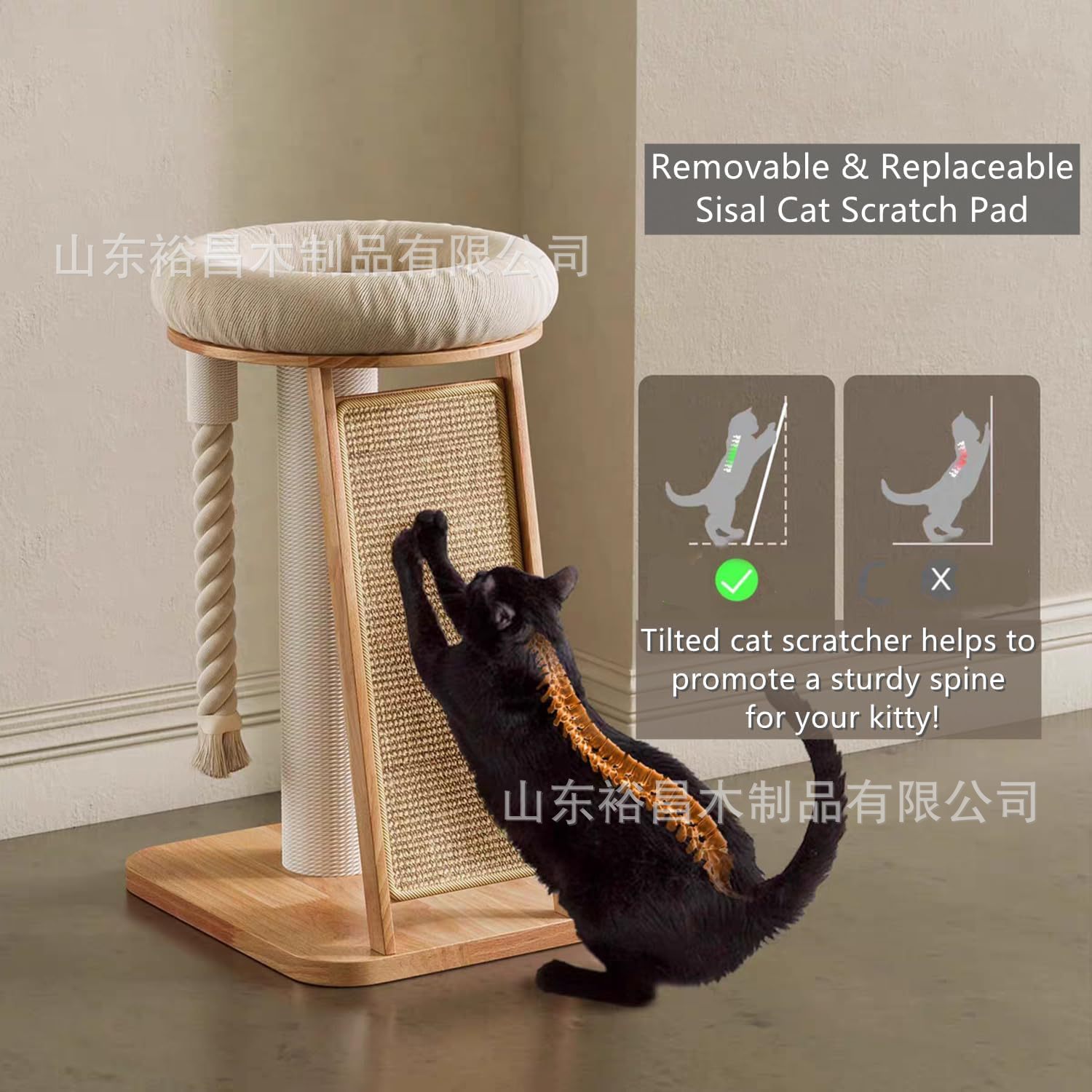 71w1hCU3SfL._AC_SL1500_