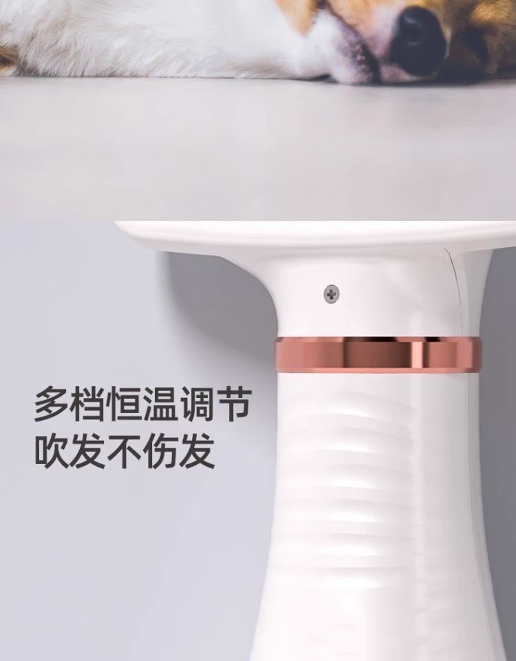 44447fc3-e73b-4ea5-a288-6b59a6b9be58.jpe