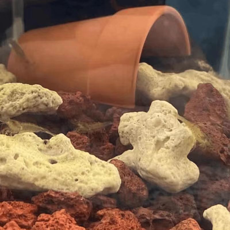 9b22d424-df49-4fbc-b78d-661349ea6baa.jpe