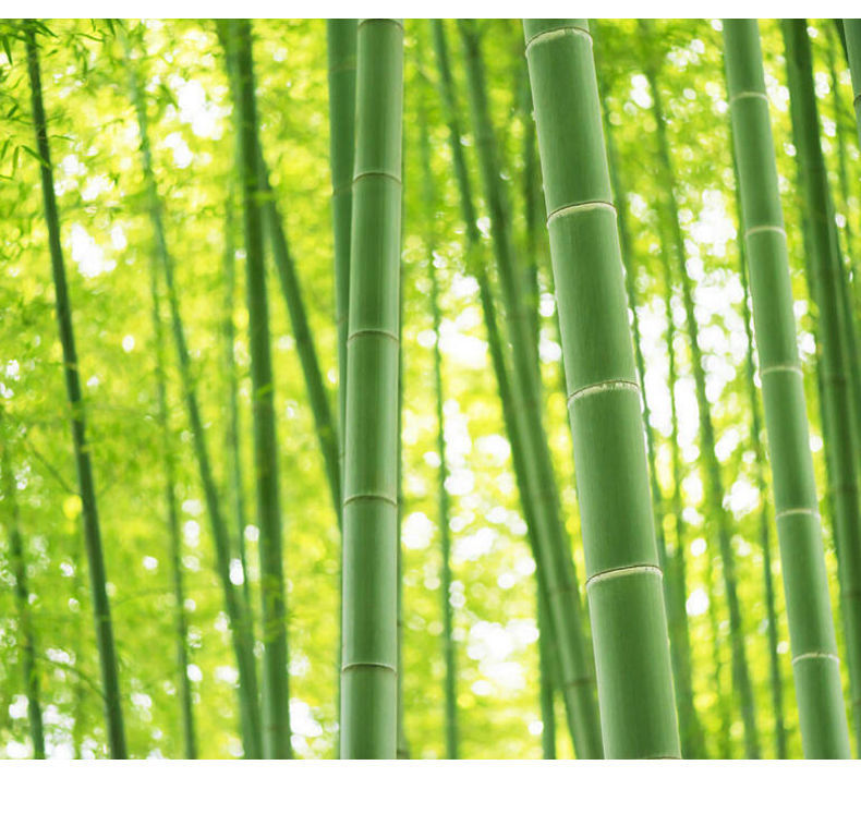 b21cd6b3-d8d9-42d6-8911-6b29beb7bde2.jpe